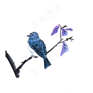 国画花鸟蓝色雀鸟工笔PNG,免抠元素