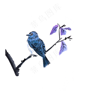 国画花鸟蓝色雀鸟工笔PNG,免抠元素