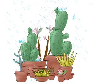春天谷雨节气树叶仙人掌雨水