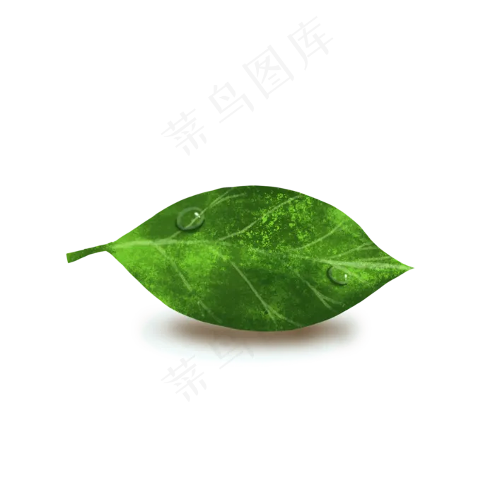 绿色自然(2000*2000px 300 dpi )psd模版下载