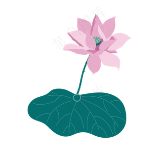 一朵粉色的荷花免抠图