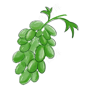 葡萄大自然嫩绿色植物水果