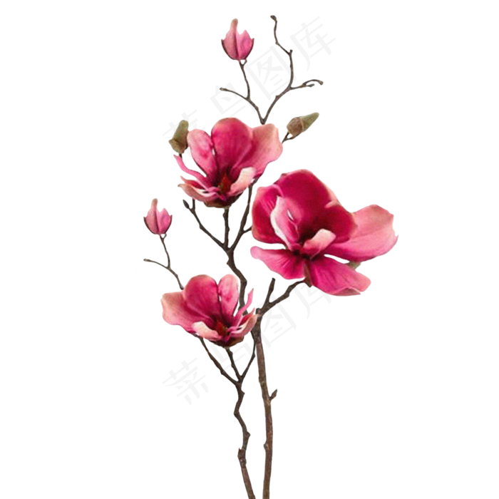 粉色兰花干花装饰