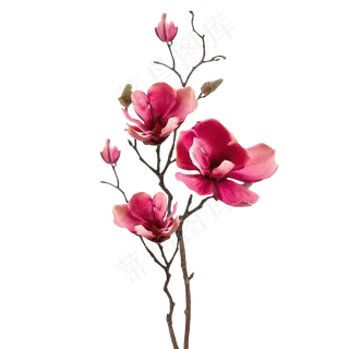 粉色兰花干花装饰