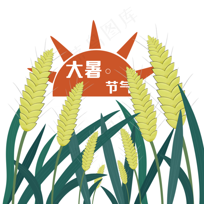 大暑小麦装饰(2000X2000(DPI:299))psd模版下载