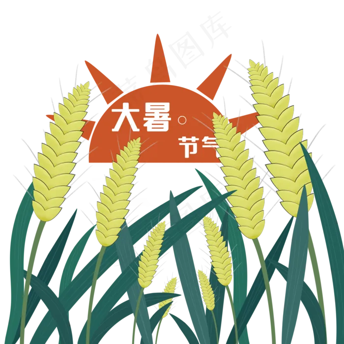 大暑小麦装饰(2000X2000(DPI:299))psd模版下载