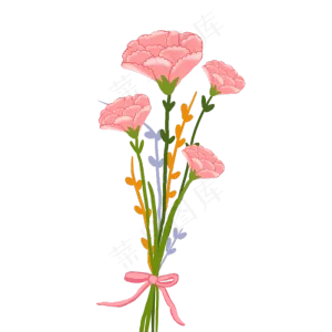 手绘花卉康乃馨矢量素材