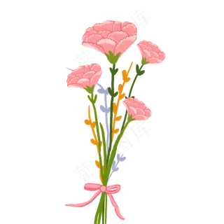 手绘花卉康乃馨矢量素材