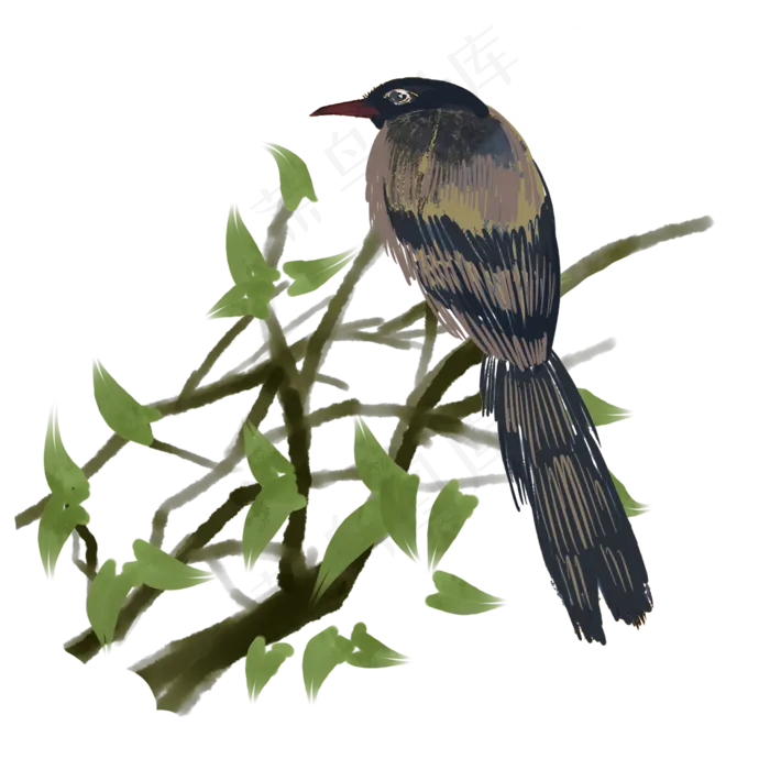 春季鸟类站在树枝上的鸟,免抠元素