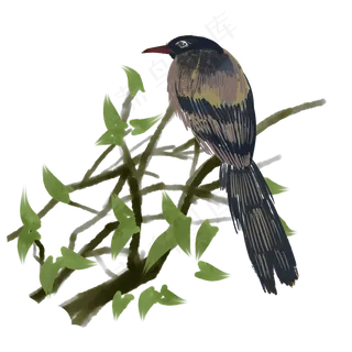 春季鸟类站在树枝上的鸟,免抠元素