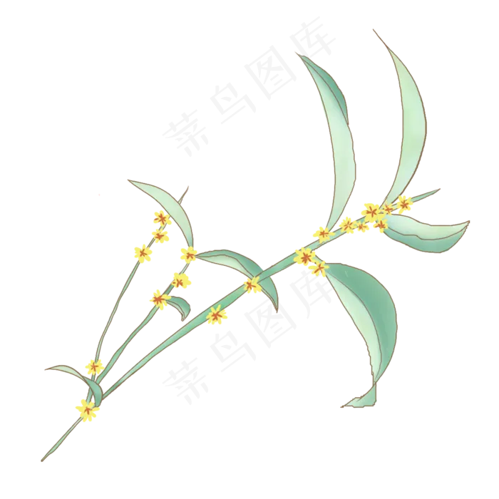 桂花花枝矢量免抠图png(2000X2000(DPI:300))psd模版下载
