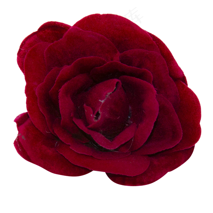 深红色玫瑰花(2000X2000(DPI:300))