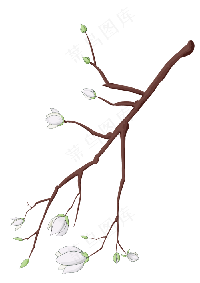 春天花枝手绘插画,免抠元素