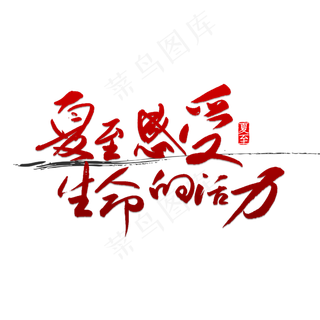 夏至感受生命的活力