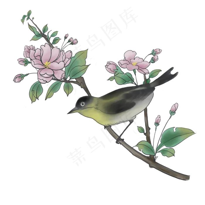 中国风水墨工笔粉花花鸟PNG,免抠元素(3000*3000px 300 dpi )psd模版下载