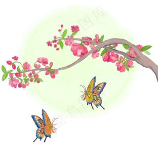 中国风水墨水彩工笔桃花戏蝶手绘