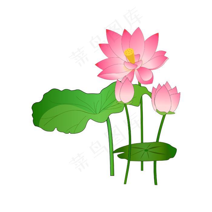 粉色的荷花(4167*4167px 300 dpi )ai矢量模版下载
