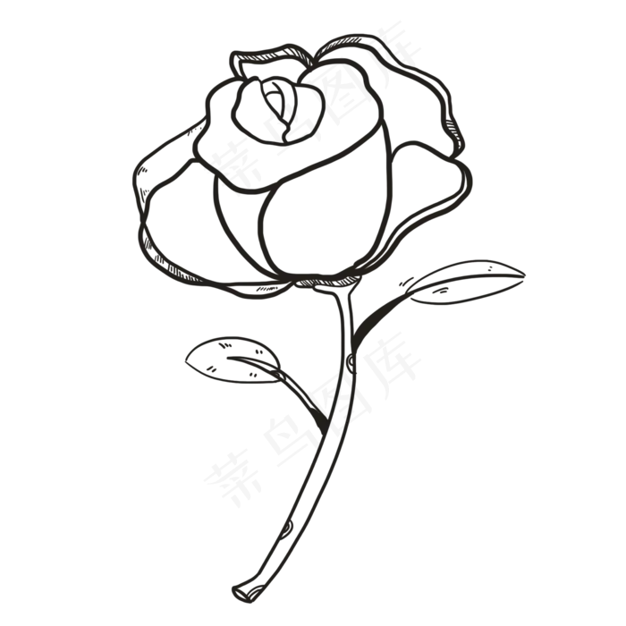 线描玫瑰花(2000X2000(DPI:300))psd模版下载