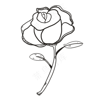 线描玫瑰花