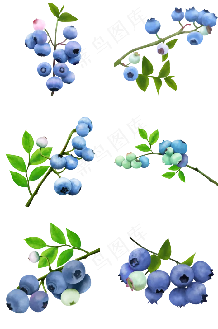 夏天写实水果成熟的蓝莓(2000X3020(DPI:300))psd模版下载