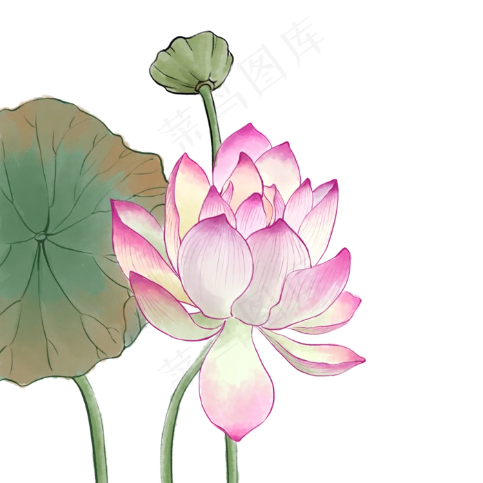 中国风荷花水彩画(2000X2000(DPI:300))psd模版下载