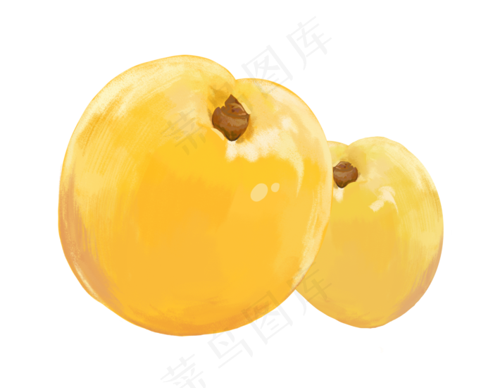 水果食物黄杏(2800X2200(DPI:300))psd模版下载