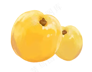 水果食物黄杏