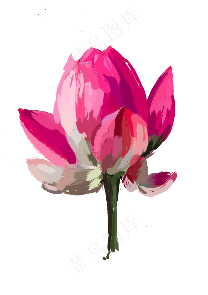 夏天写实荷花免抠图(2480X3508(DPI:300))psd模版下载