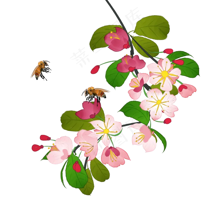 中国风花卉粉色海棠花蜜蜂装饰PNG,免抠元素(3000*3000px 300 dpi )psd模版下载