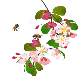 中国风花卉粉色海棠花蜜蜂装饰PNG,免抠元素