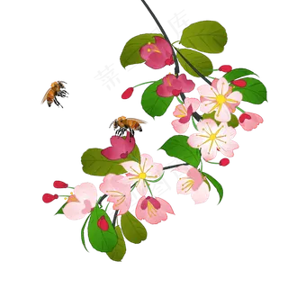 中国风花卉粉色海棠花蜜蜂装饰PNG,免抠元素