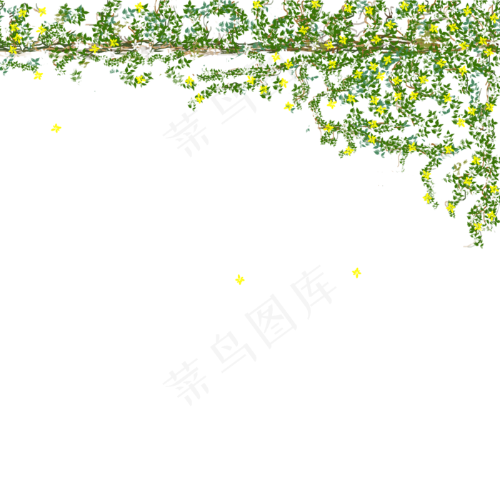 夏天盛开的绿色花藤手绘