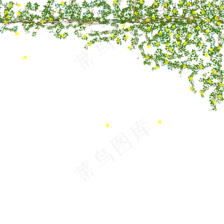 夏天盛开的绿色花藤手绘