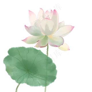 中国风荷花水彩画