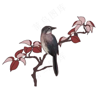 中国风手绘花鸟插图,免抠元素