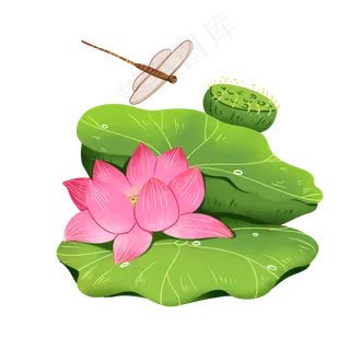 夏天荷花避暑手绘元素