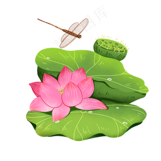 夏天荷花避暑手绘元素