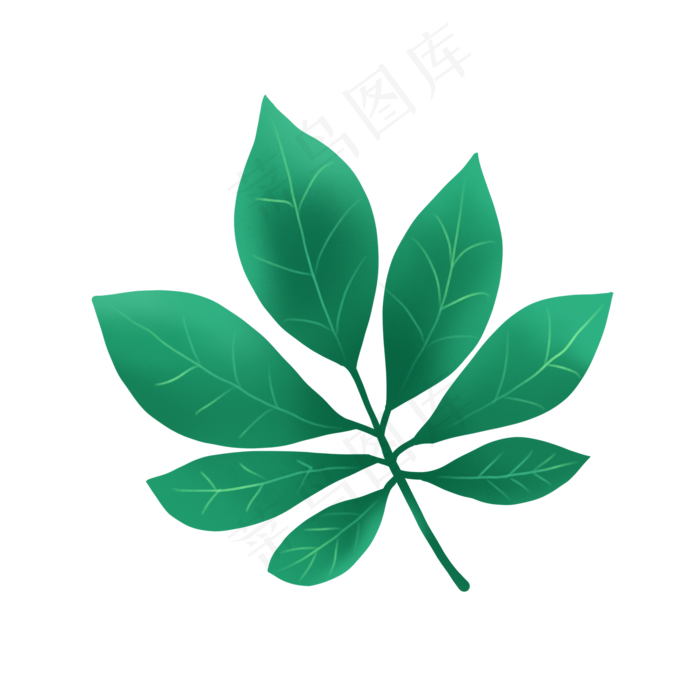 一片树叶PNG免抠素材