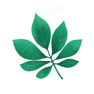一片树叶PNG免抠素材