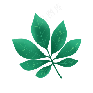 一片树叶PNG免抠素材