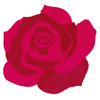 玫红色卡通风格矢量花朵