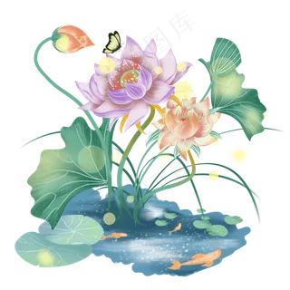 夏天夜晚荷塘荷花荷叶,免抠元素