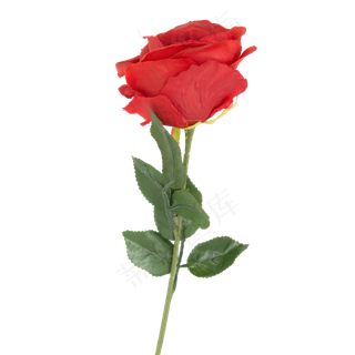 仿真红玫瑰