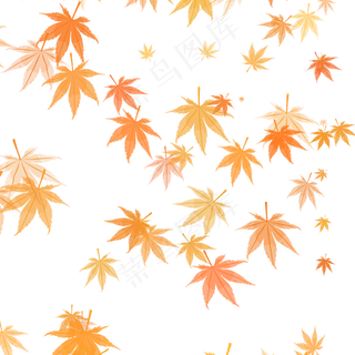 立秋枫叶,免抠元素