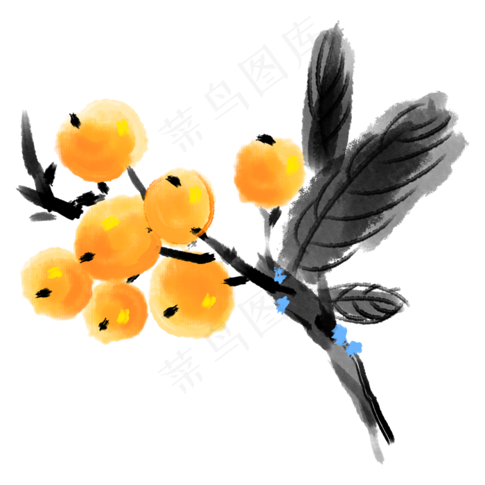 水墨水果柿子插画