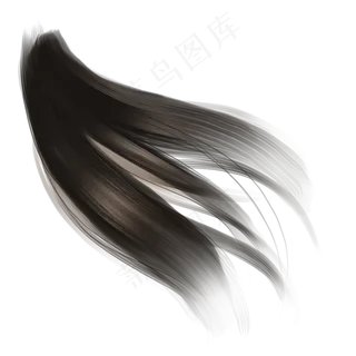 头发笔刷毛发发丝