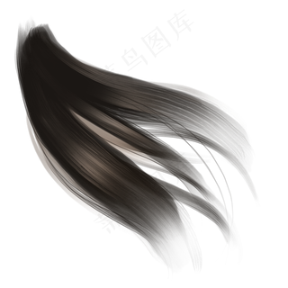 头发笔刷毛发发丝