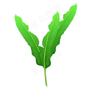 春天绿色水彩树叶