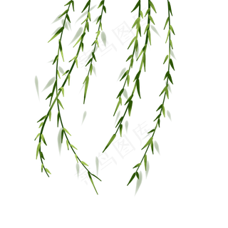 柳叶绿色手绘装饰图案