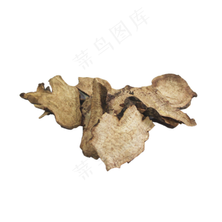 赤芍中药药材,免抠元素